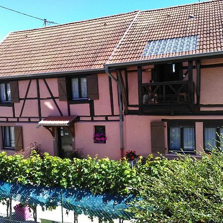 Gites & Camping On The Route Des Vins Bergheim Luaran gambar