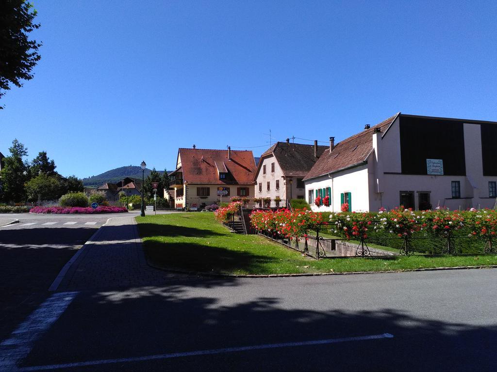 Gites & Camping On The Route Des Vins Bergheim Luaran gambar