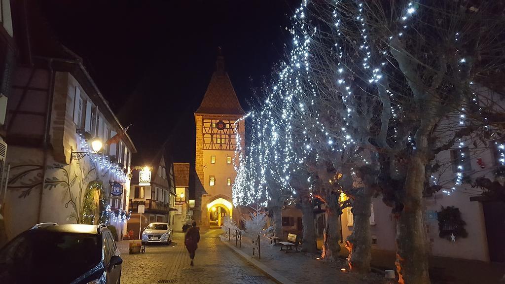 Gites & Camping On The Route Des Vins Bergheim Luaran gambar