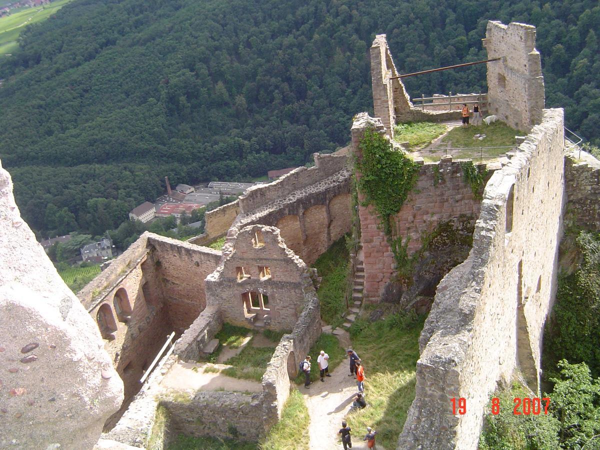 Gites & Camping On The Route Des Vins Bergheim Luaran gambar