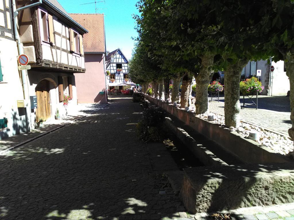 Gites & Camping On The Route Des Vins Bergheim Luaran gambar