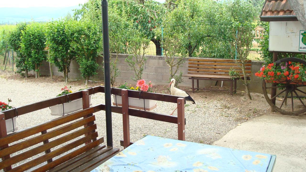 Gites & Camping On The Route Des Vins Bergheim Luaran gambar