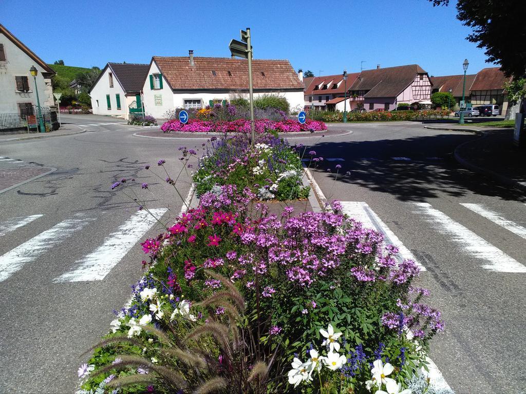 Gites & Camping On The Route Des Vins Bergheim Luaran gambar